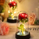 Wedding Birthday Valentine Day Gift Eternal Rose Flower Colorful Luminous Ornament